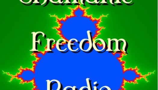 Dr. Bruce on Shamanic Freedom Radio