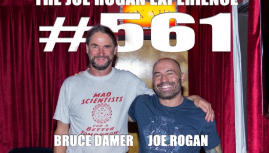 Dr. Bruce on the Joe Rogan Experience podcast